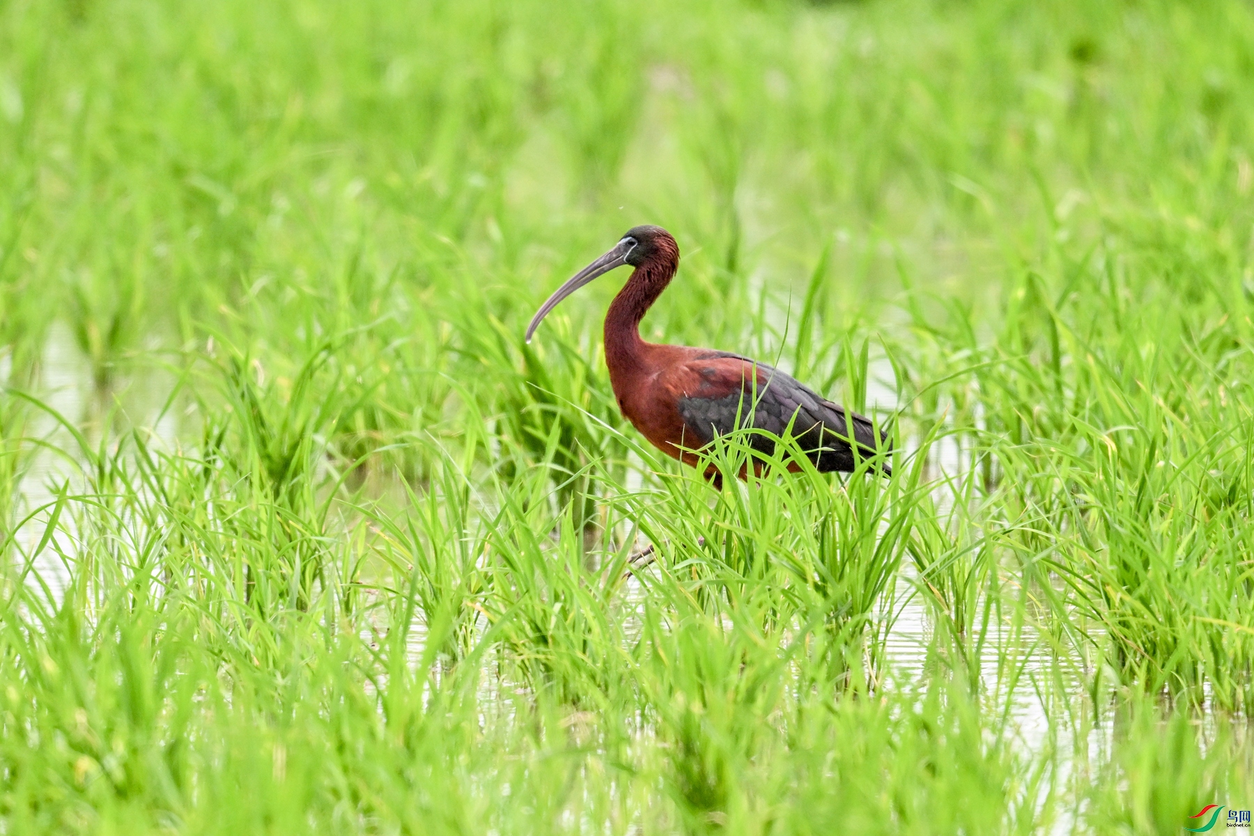 DSC_7862.JPG