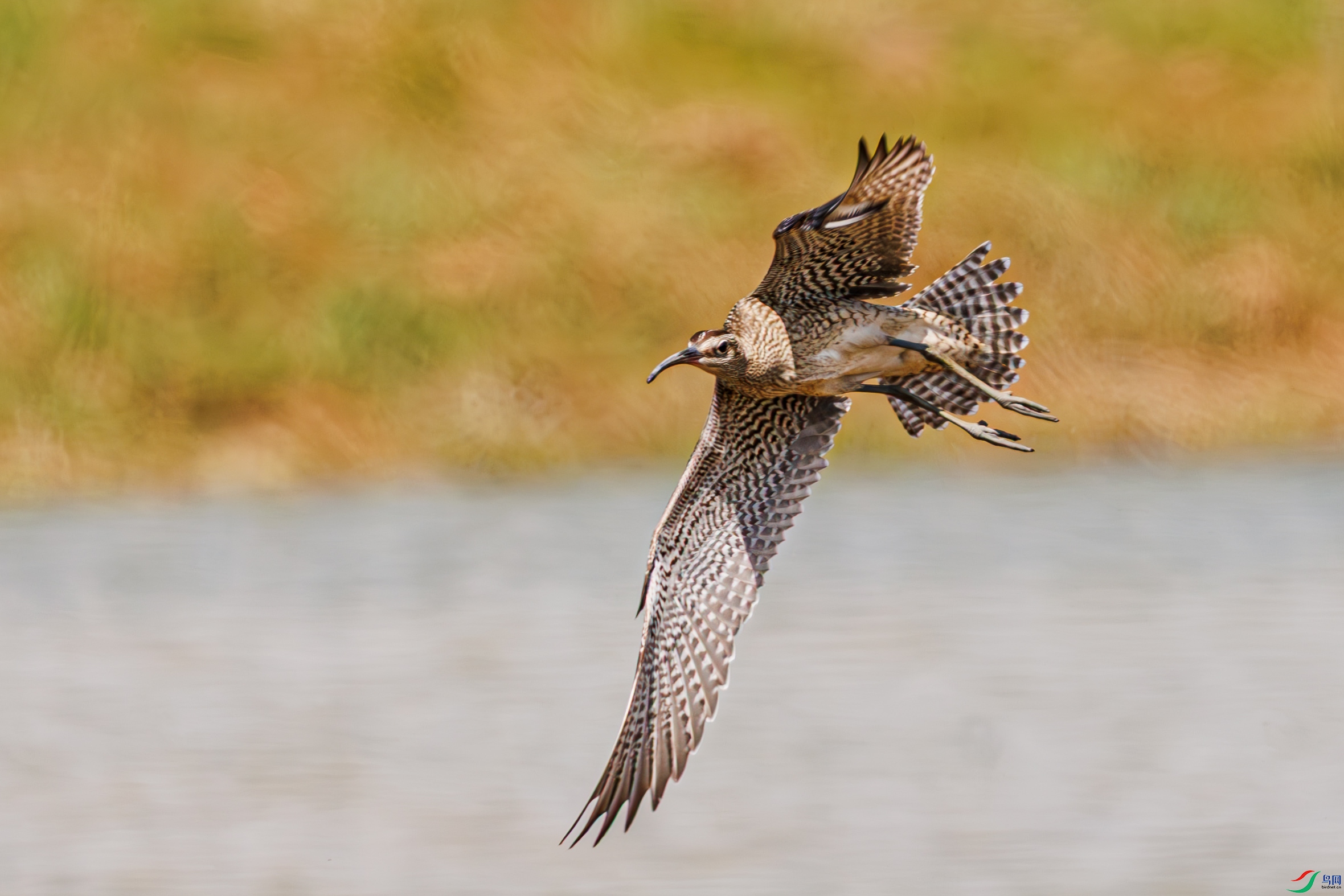 475A9665-1.jpg