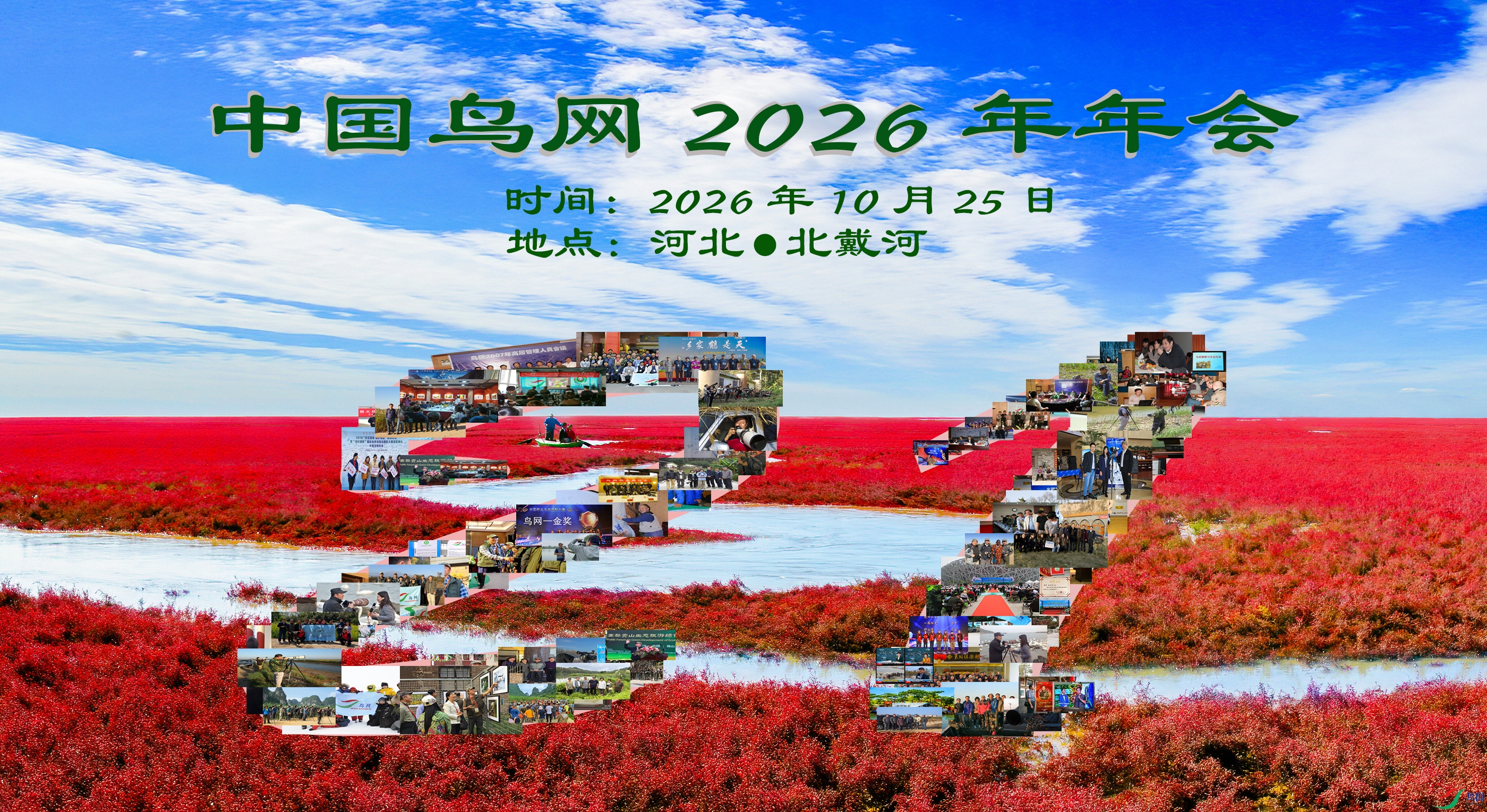 �й�����2026�����-ͼ��.jpg