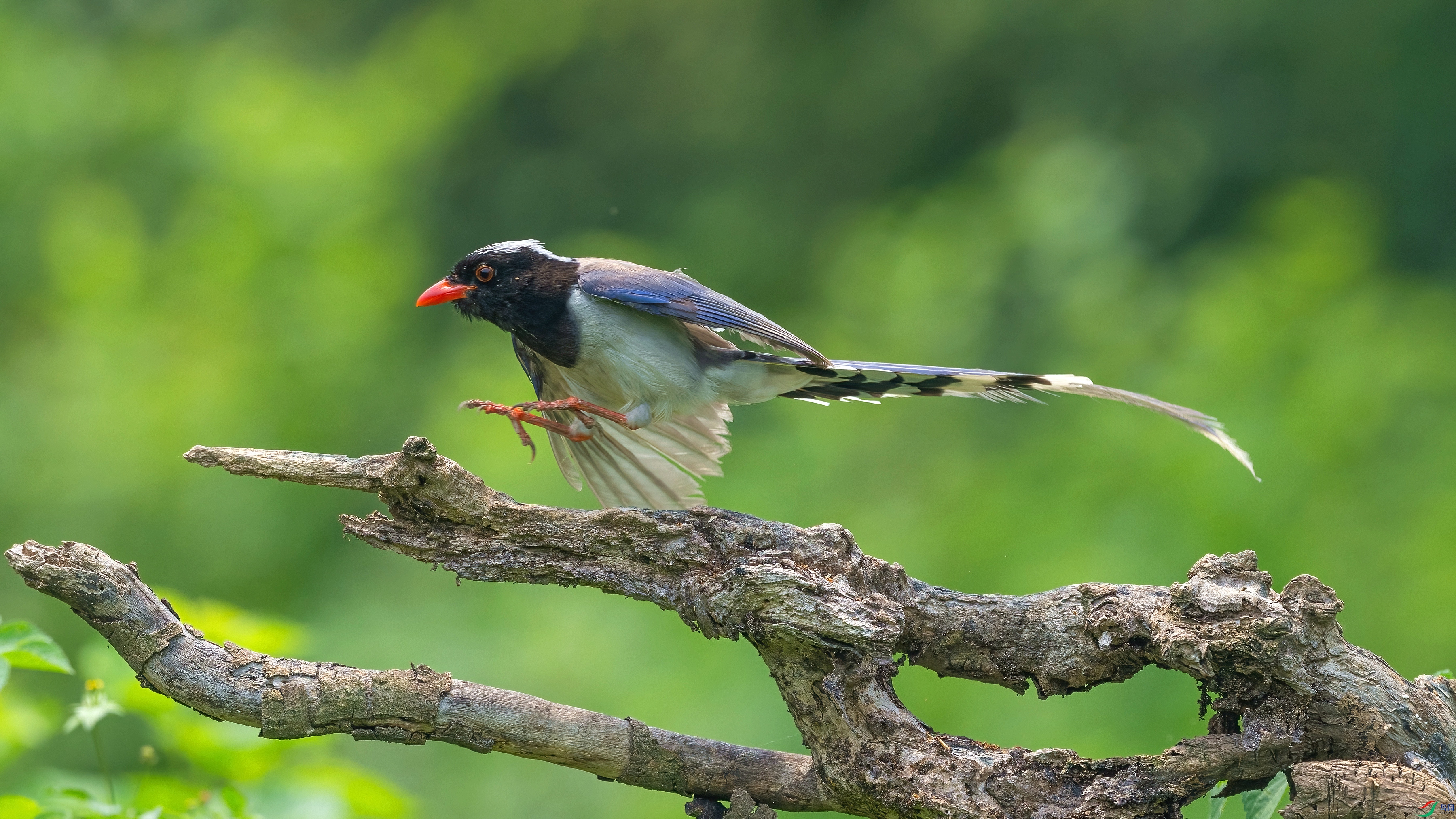 DSC_5470.jpg