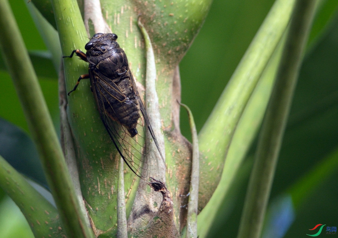 DSC_0709z_������С.jpg