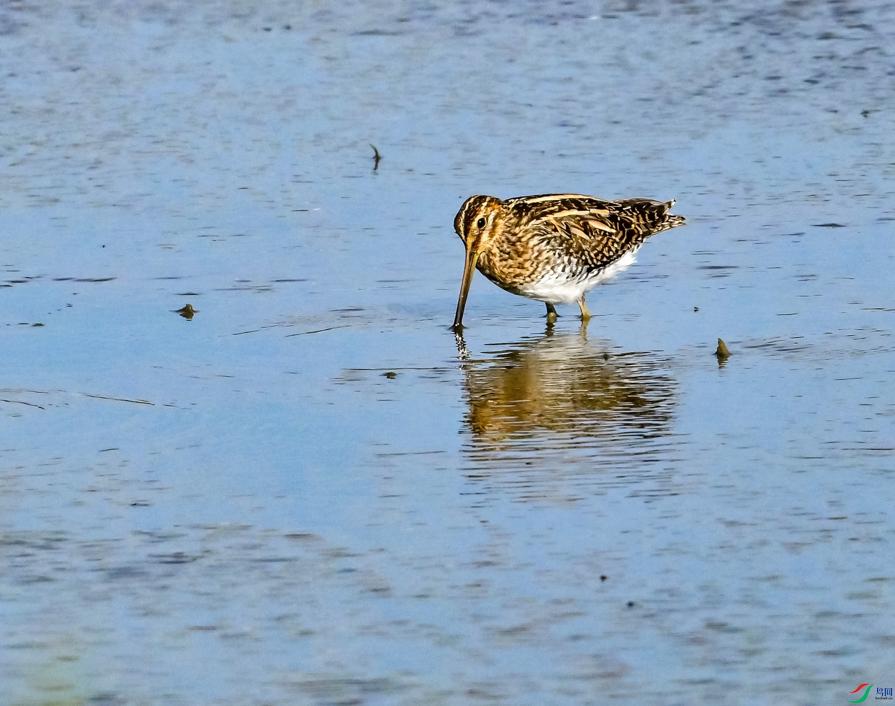 DSC_5945---_conew1.jpg