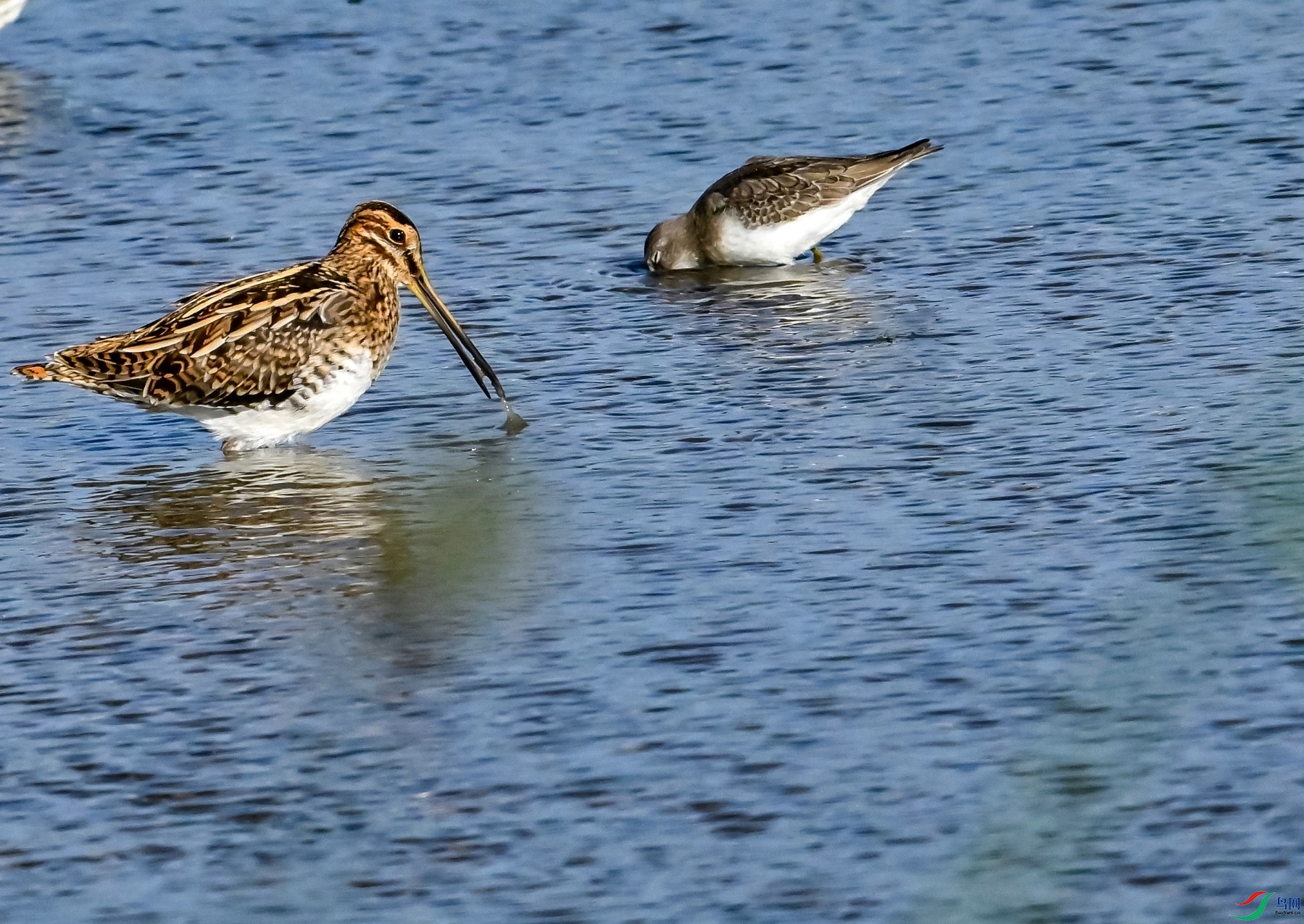 DSC_6659---_conew1.jpg
