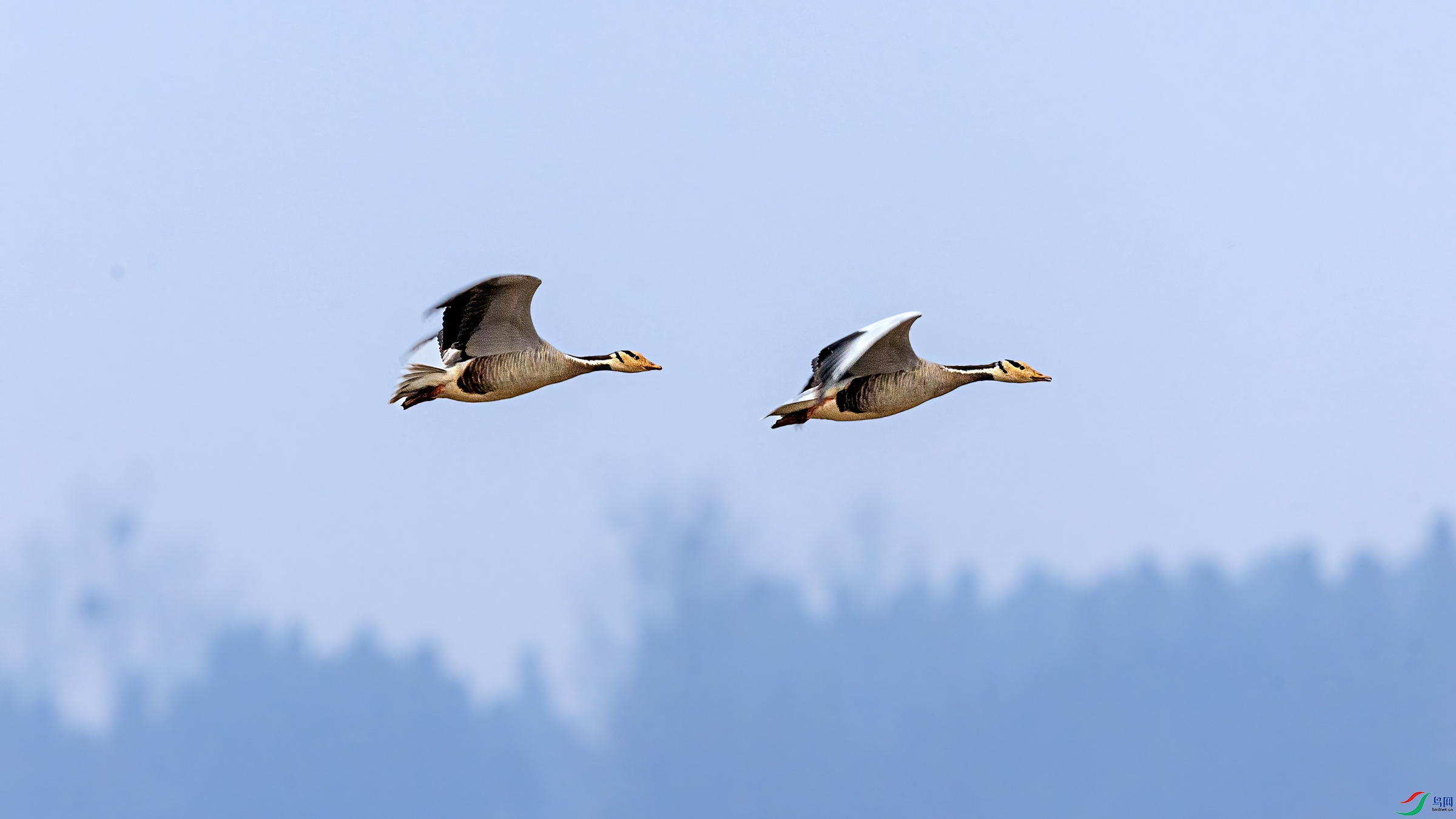 ��ͷ��1_J1R6889-1.jpg