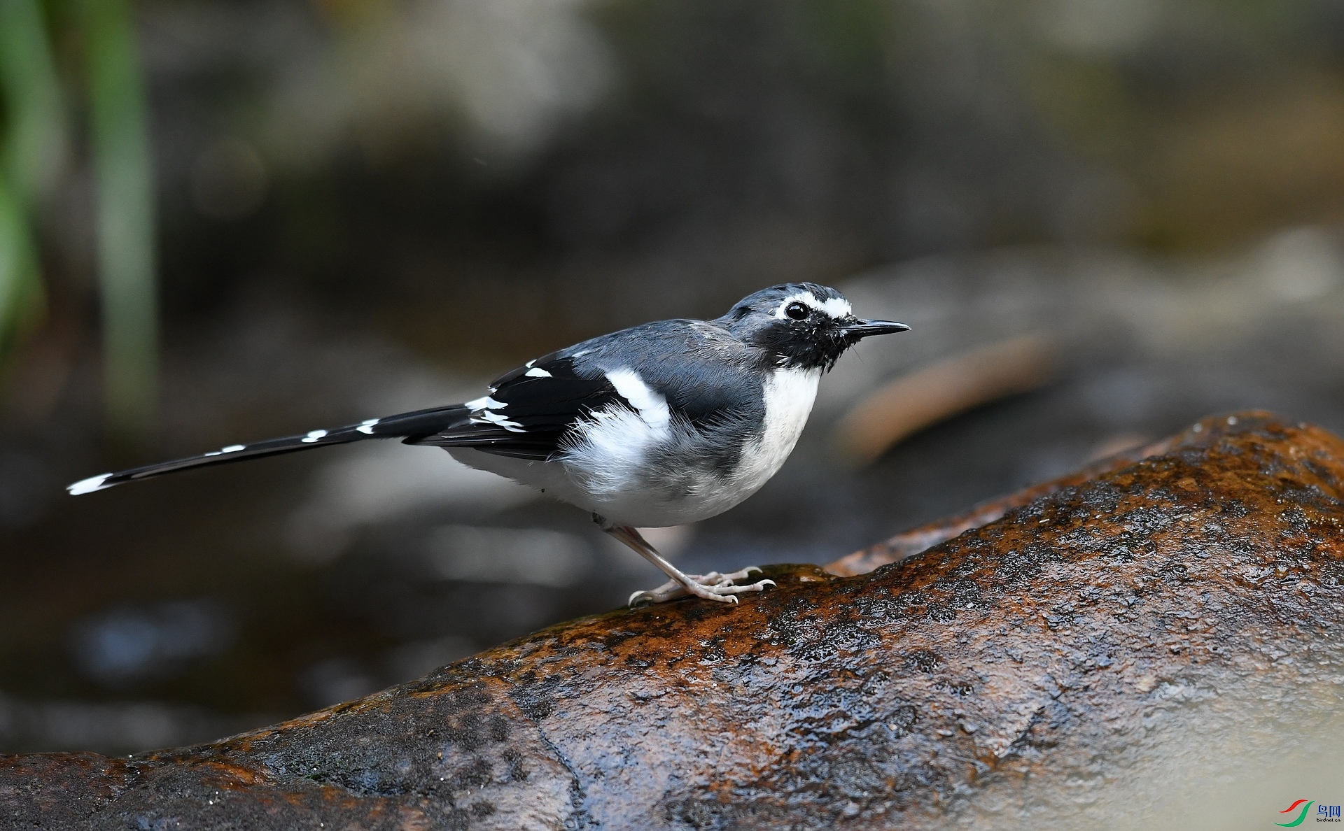 DSC_2048.jpg