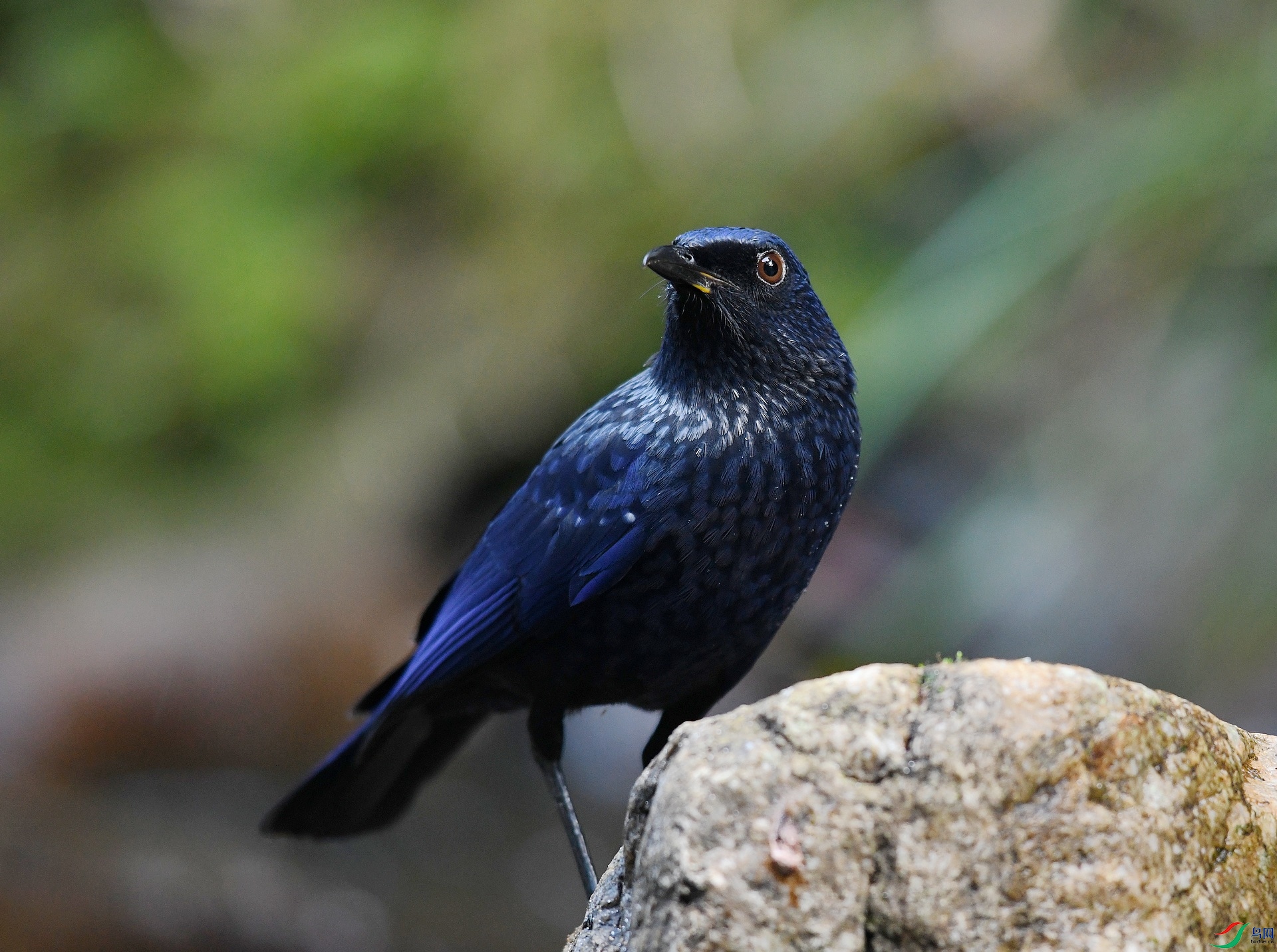 DSC_2570.jpg