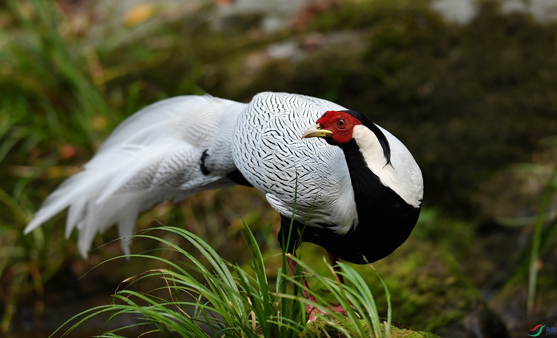 DSC_1630.jpg