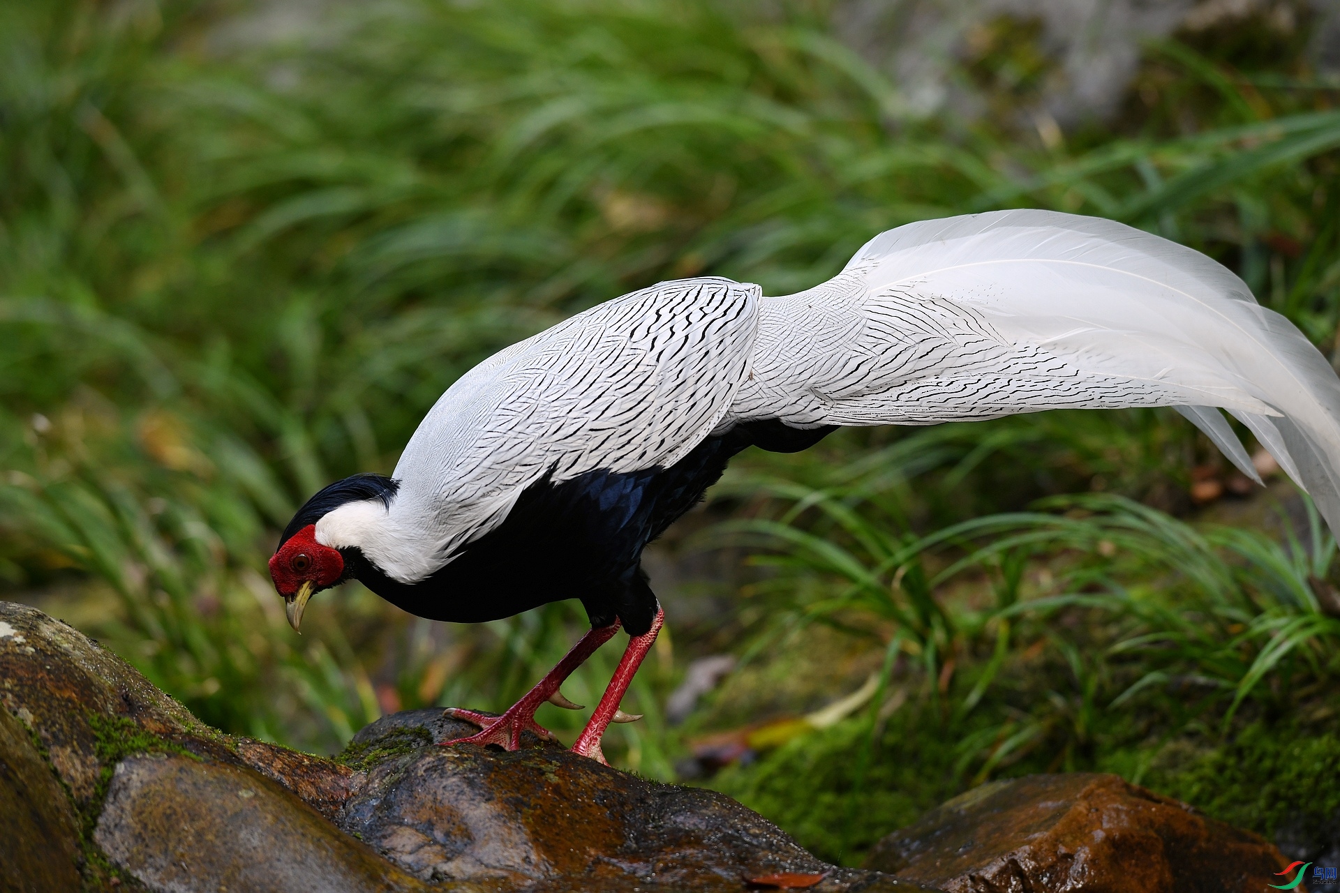 DSC_1607.jpg