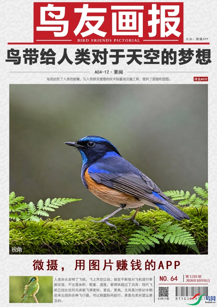 ���� (1).png
