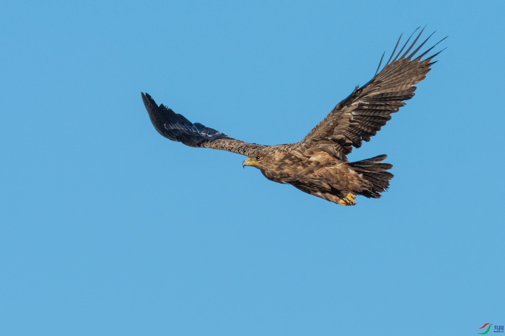 DSC_5498.jpg