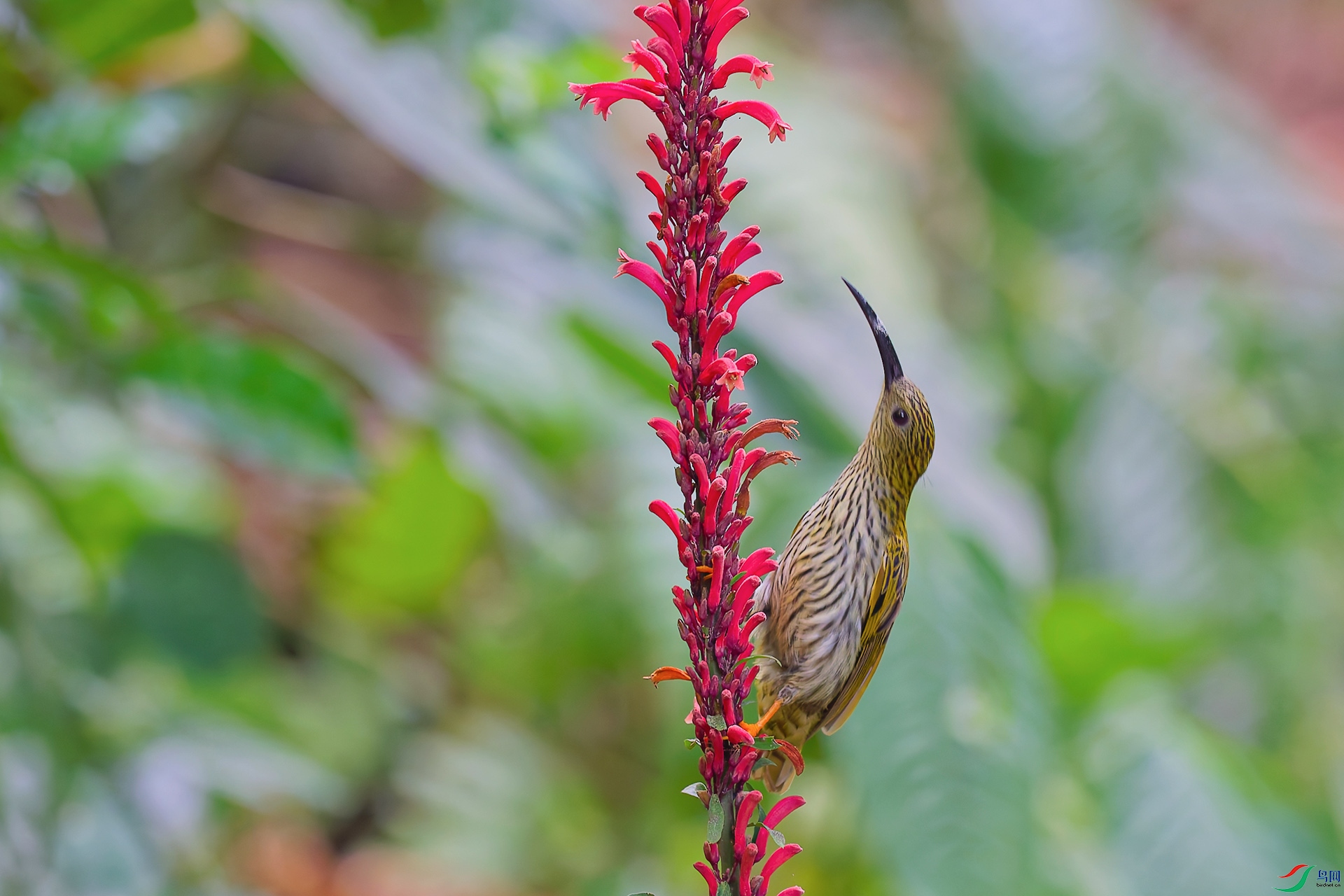 DSC_5608_DxO_DxO.jpga.jpg
