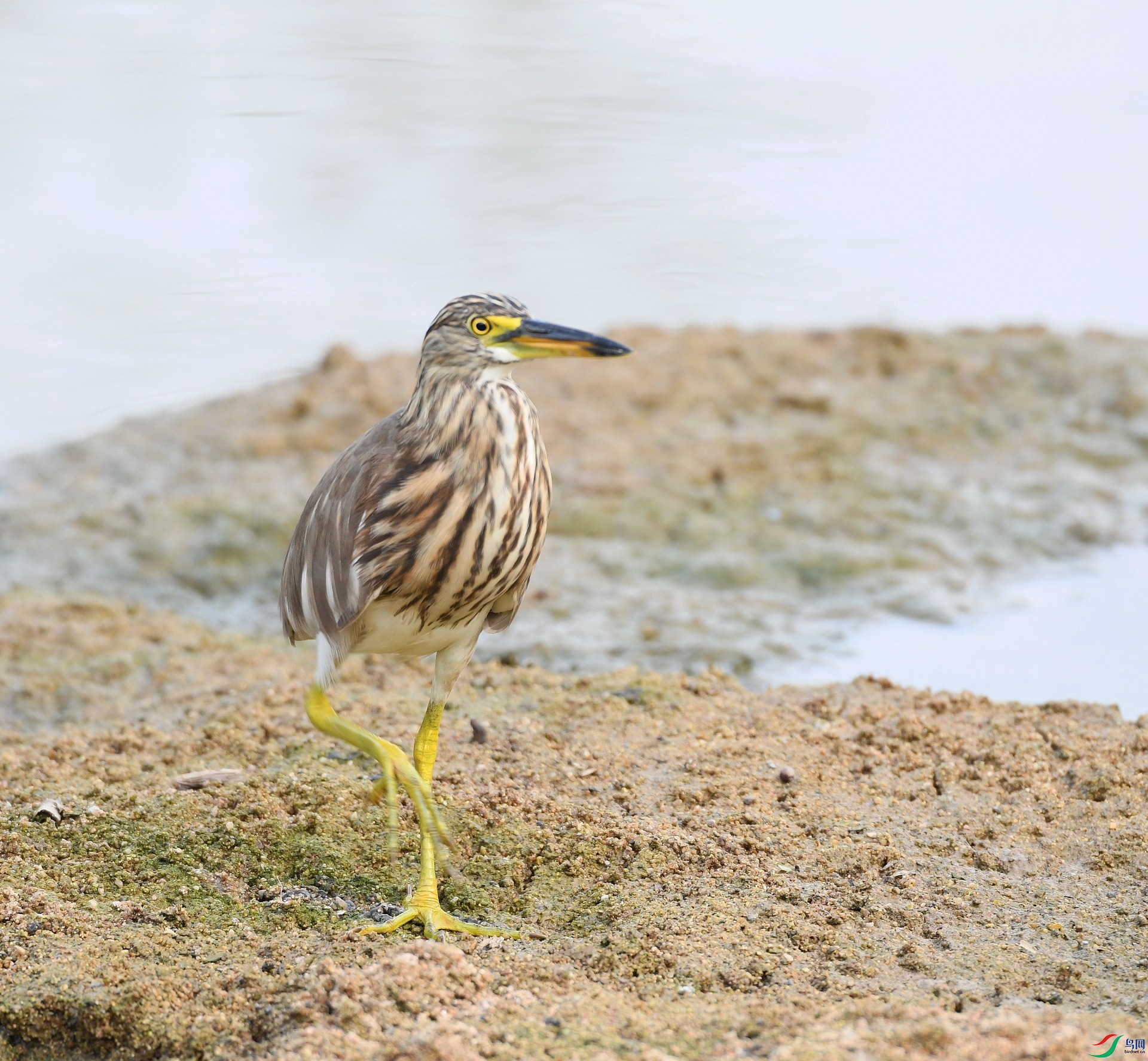 DSC_0728.jpg