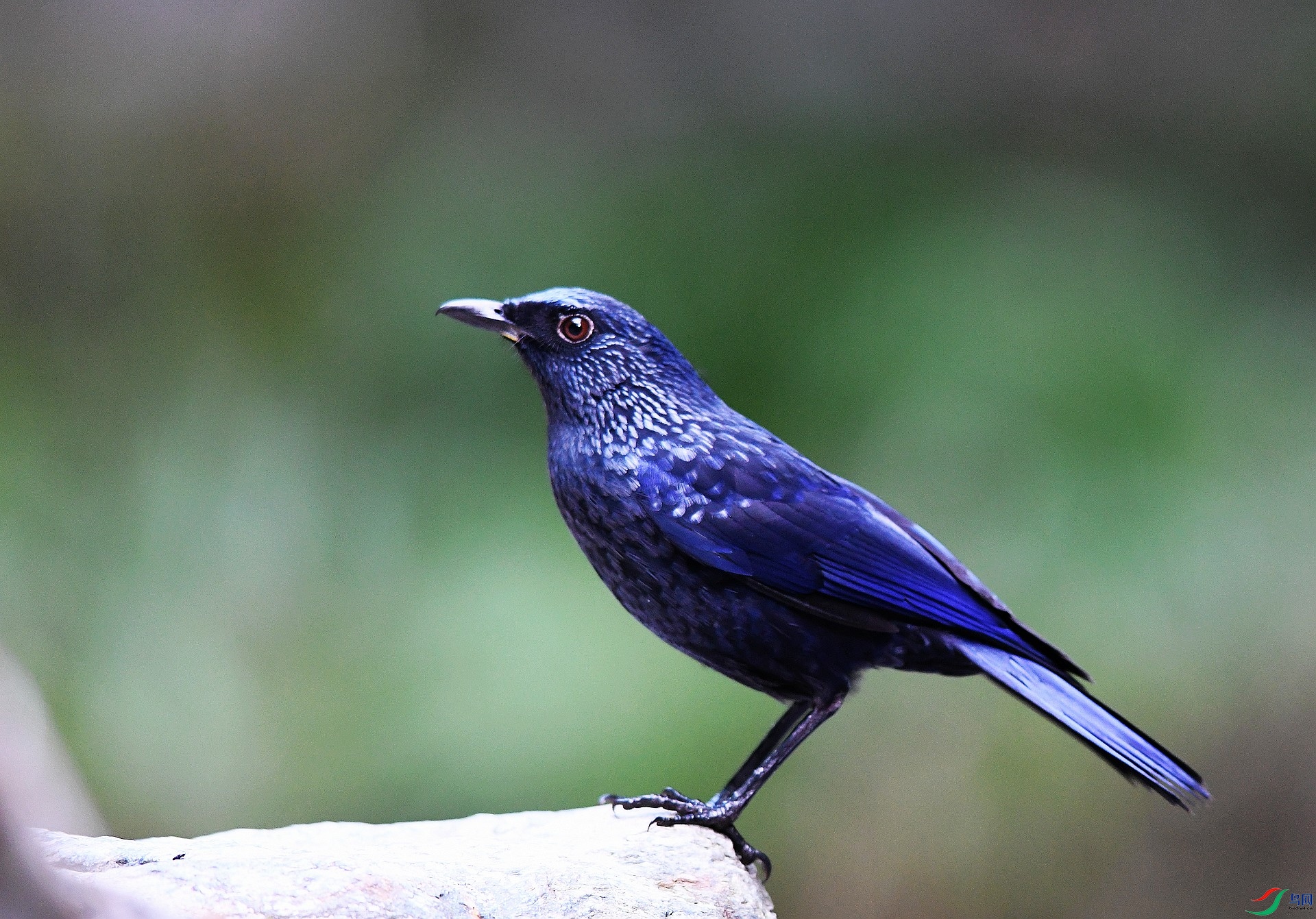 DSC_2529.jpg