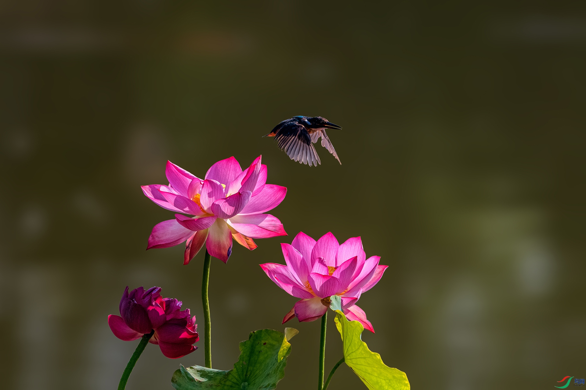 _AUU7342 ��ͨ����(25.7.29).jpg