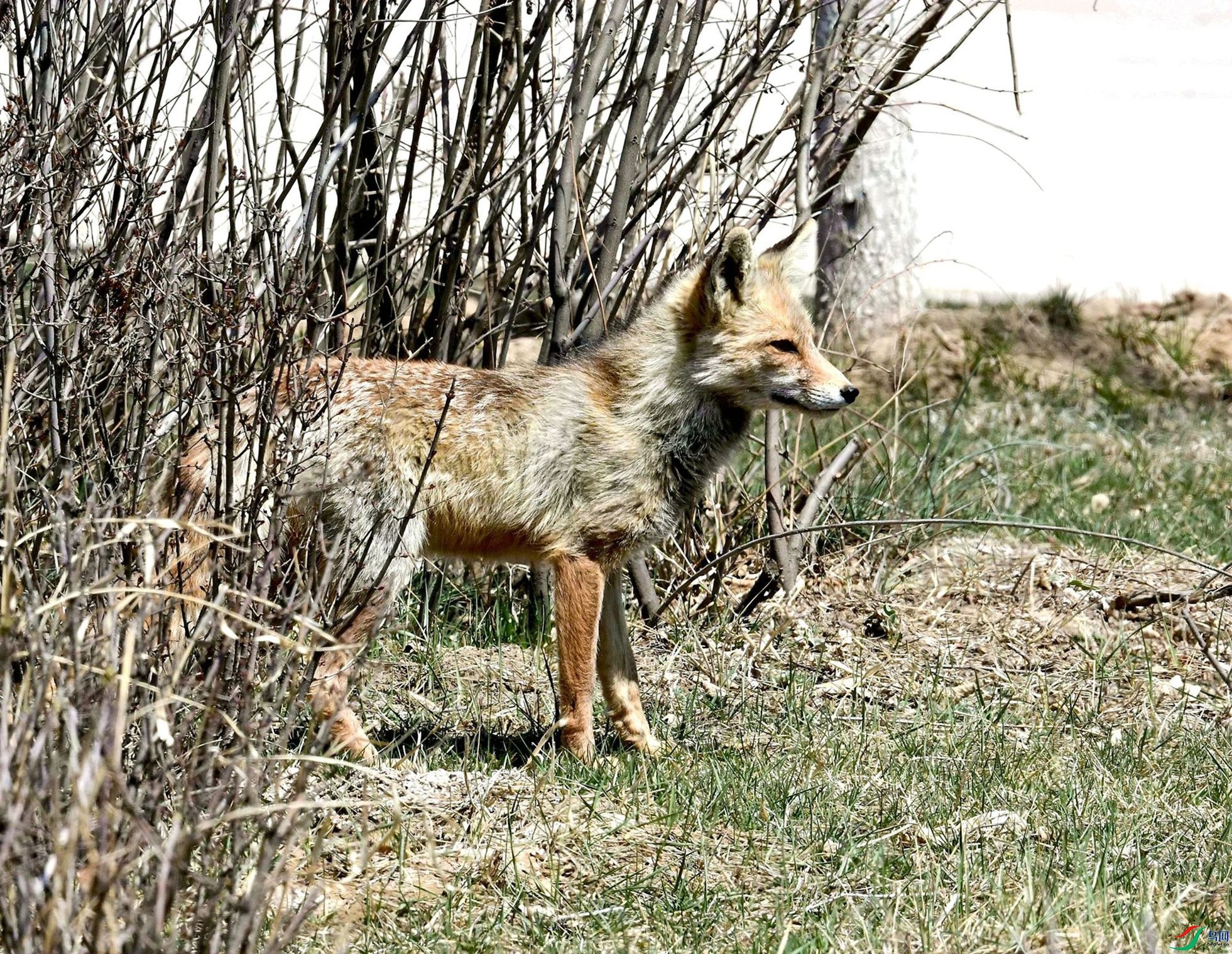 DSC_9885_��.jpg