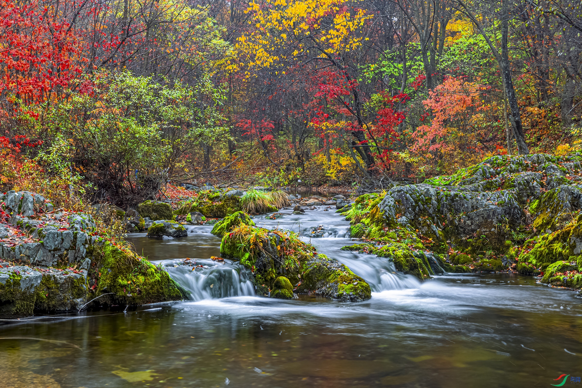 1J9A6837-2 ����89.jpg