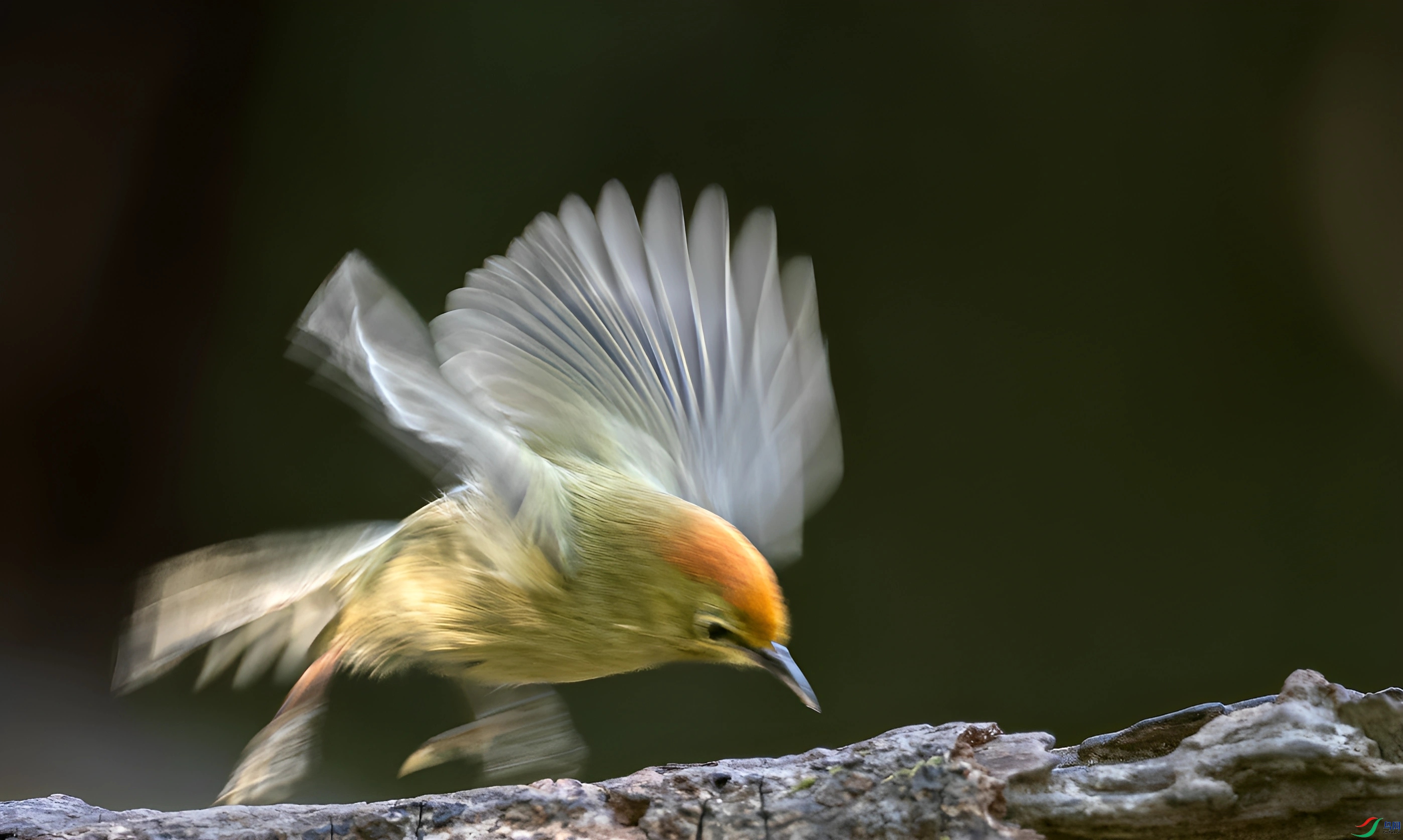 DSC_5475.jpg