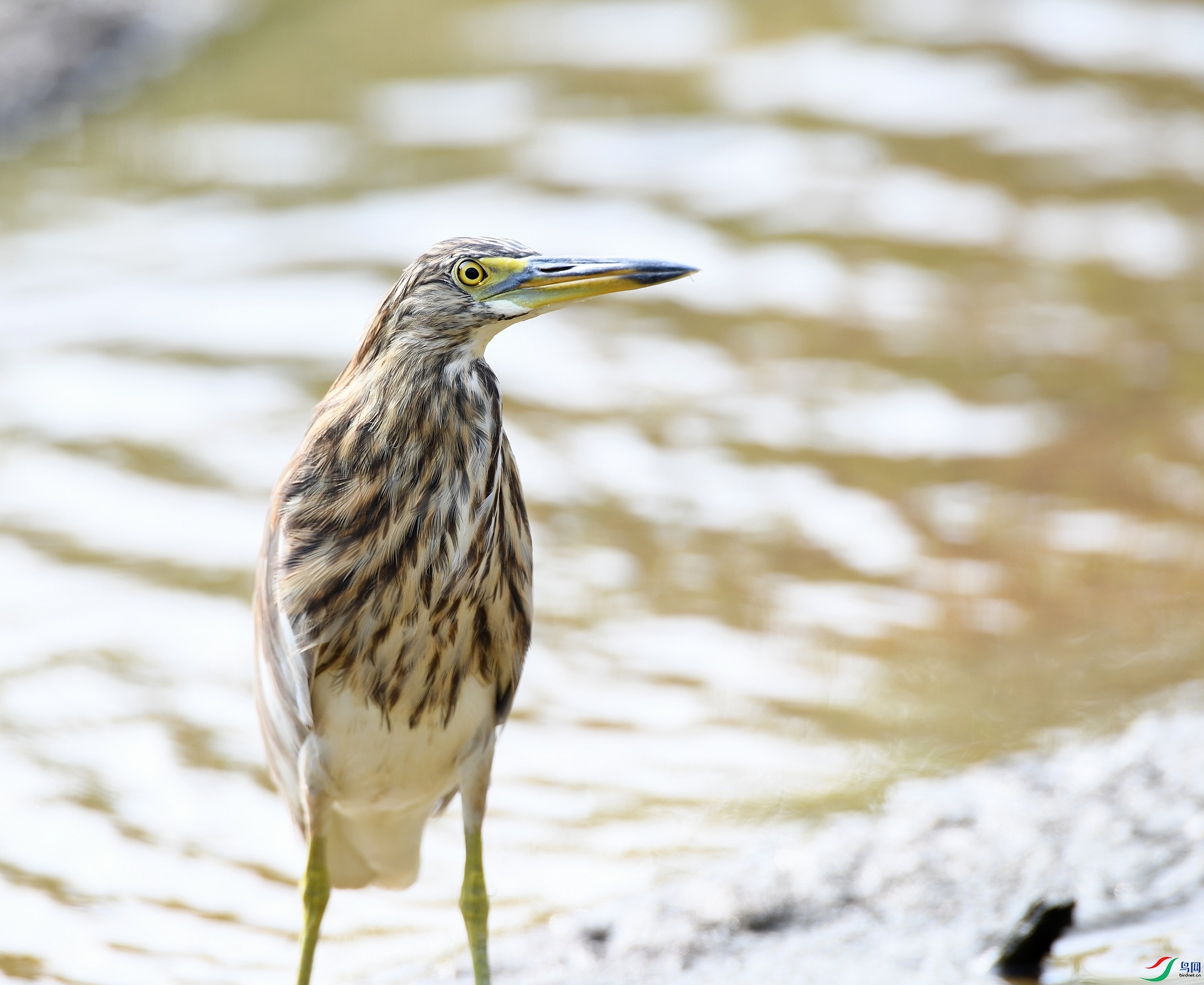 DSC_1041.jpg
