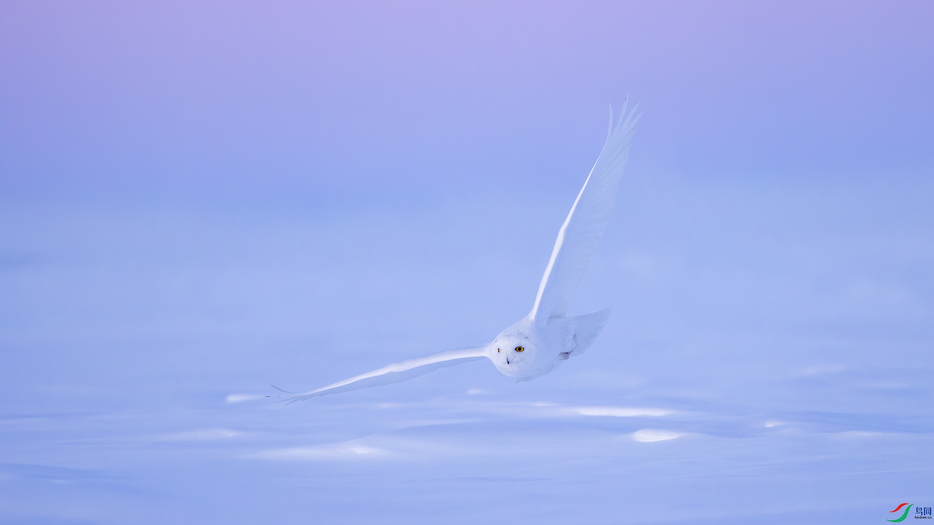 AFAA0949.jpg