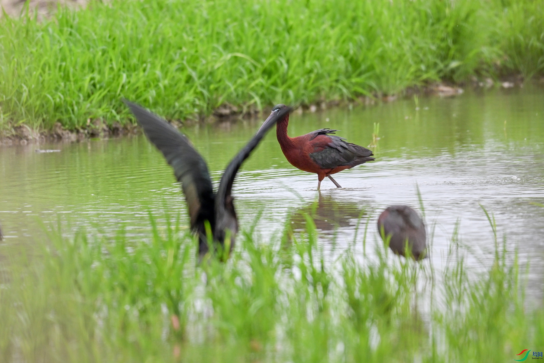 DSC_7944.JPG