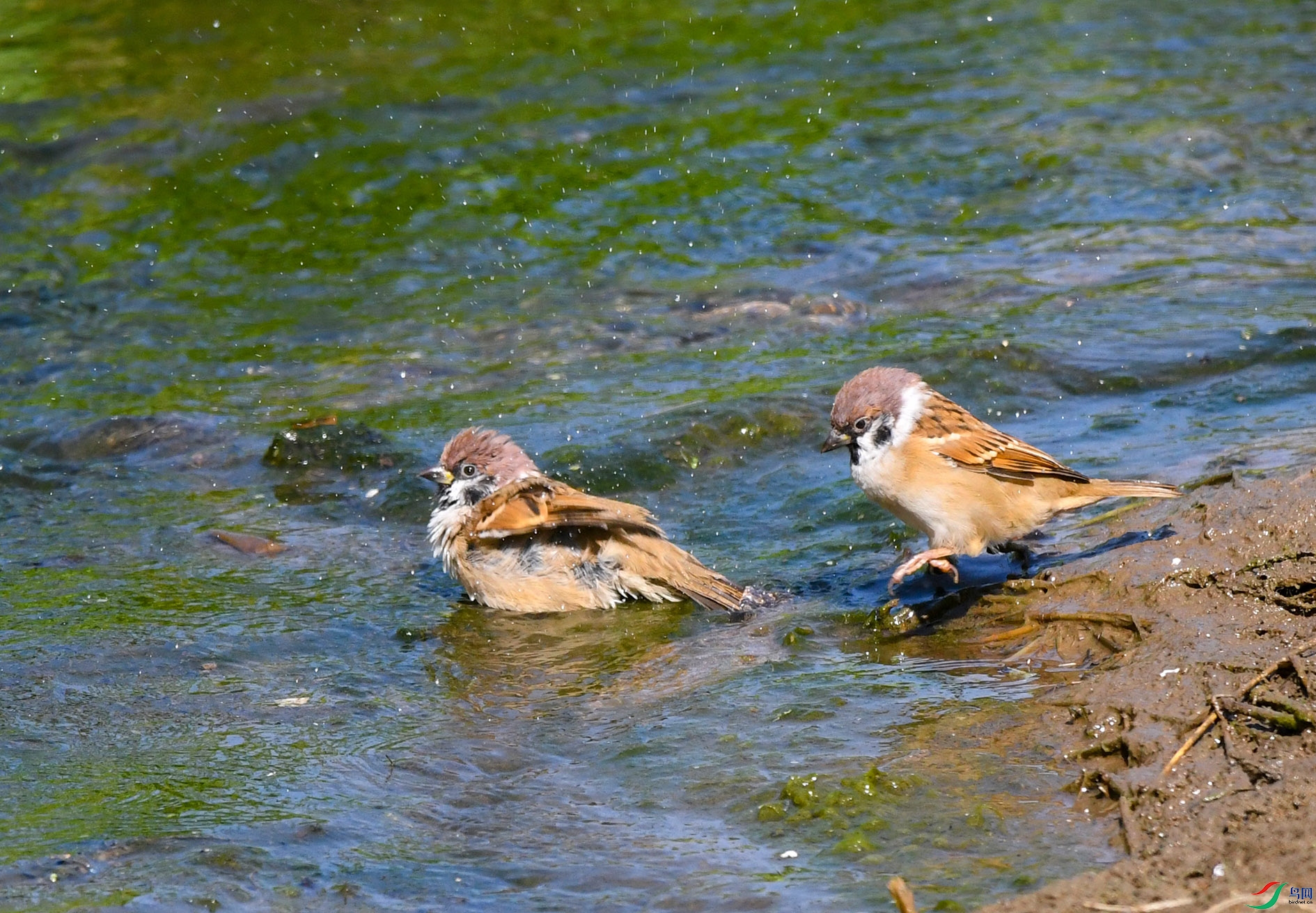 DSC_2622_��ͼ�� ����.jpg