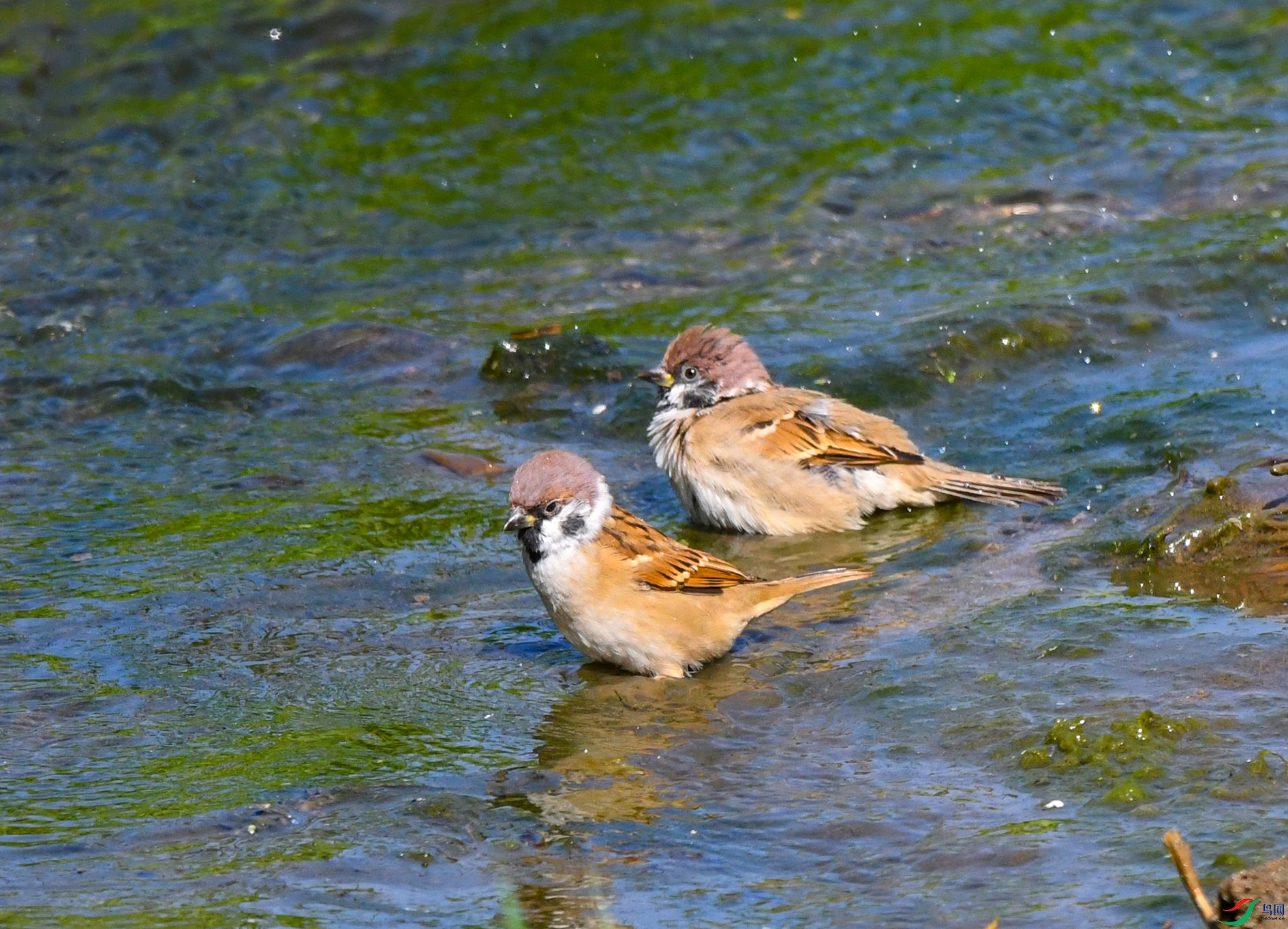 DSC_2626_��ͼ�� ����.jpg