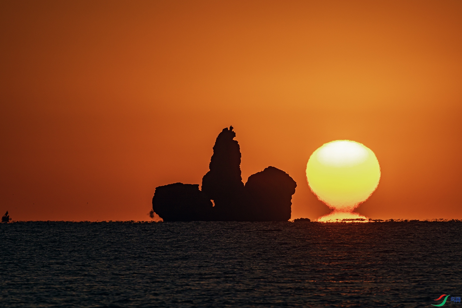 _5LM2616 ����a.jpg