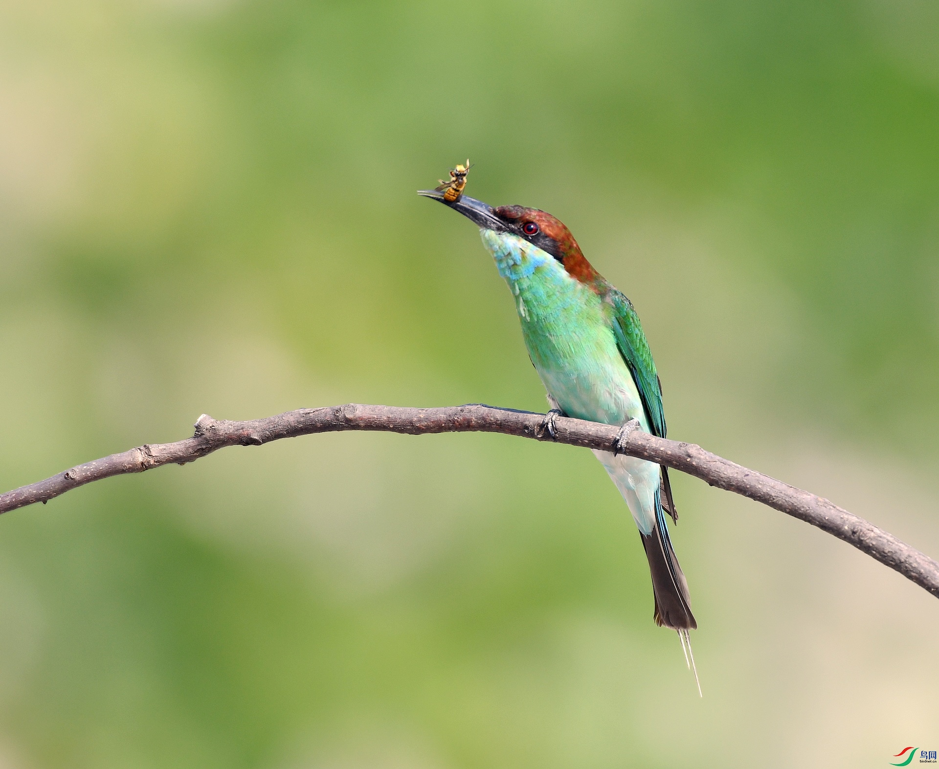 DSC_3357.jpg