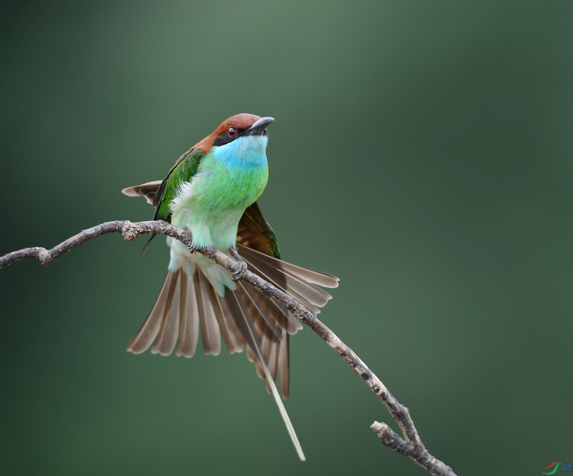 DSC_2702.jpg