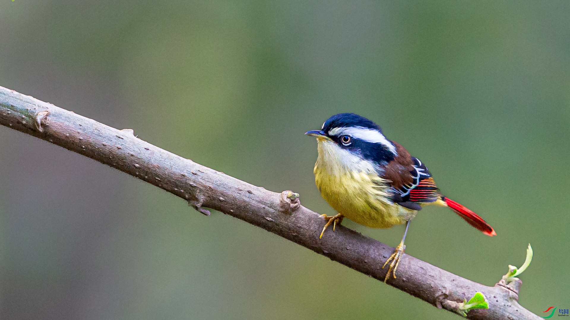 a_46560.JPG