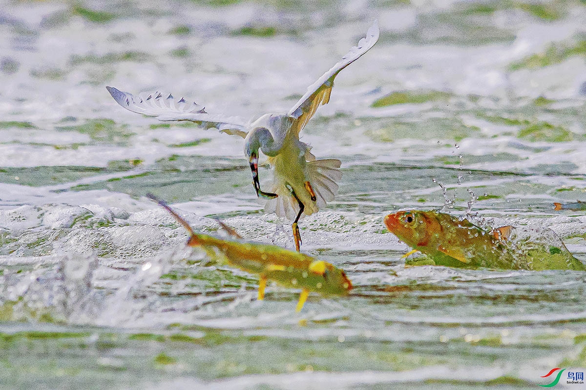 DSC_3319.jpg