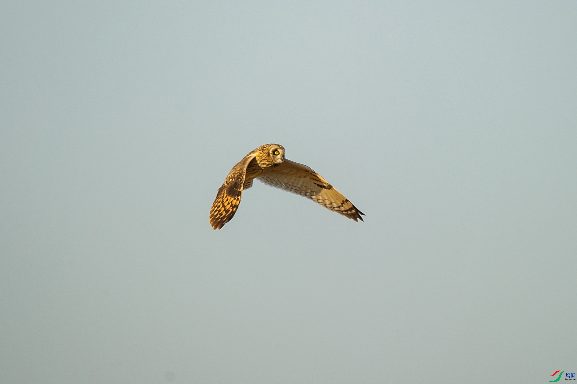 DSC_1431-20201228�ü�.jpg
