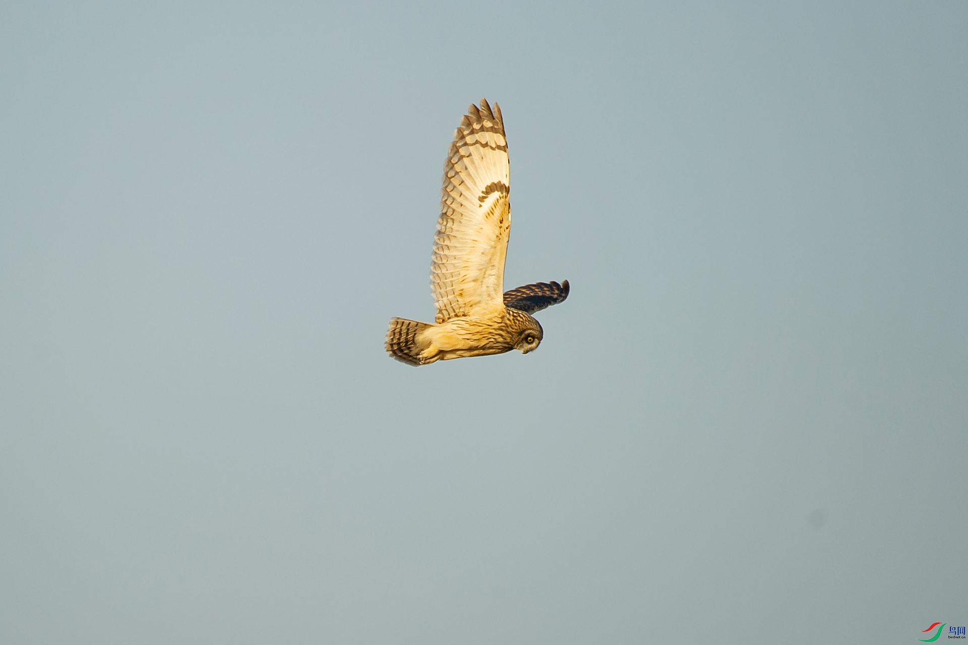 DSC_1432-20201228�ü�.jpg