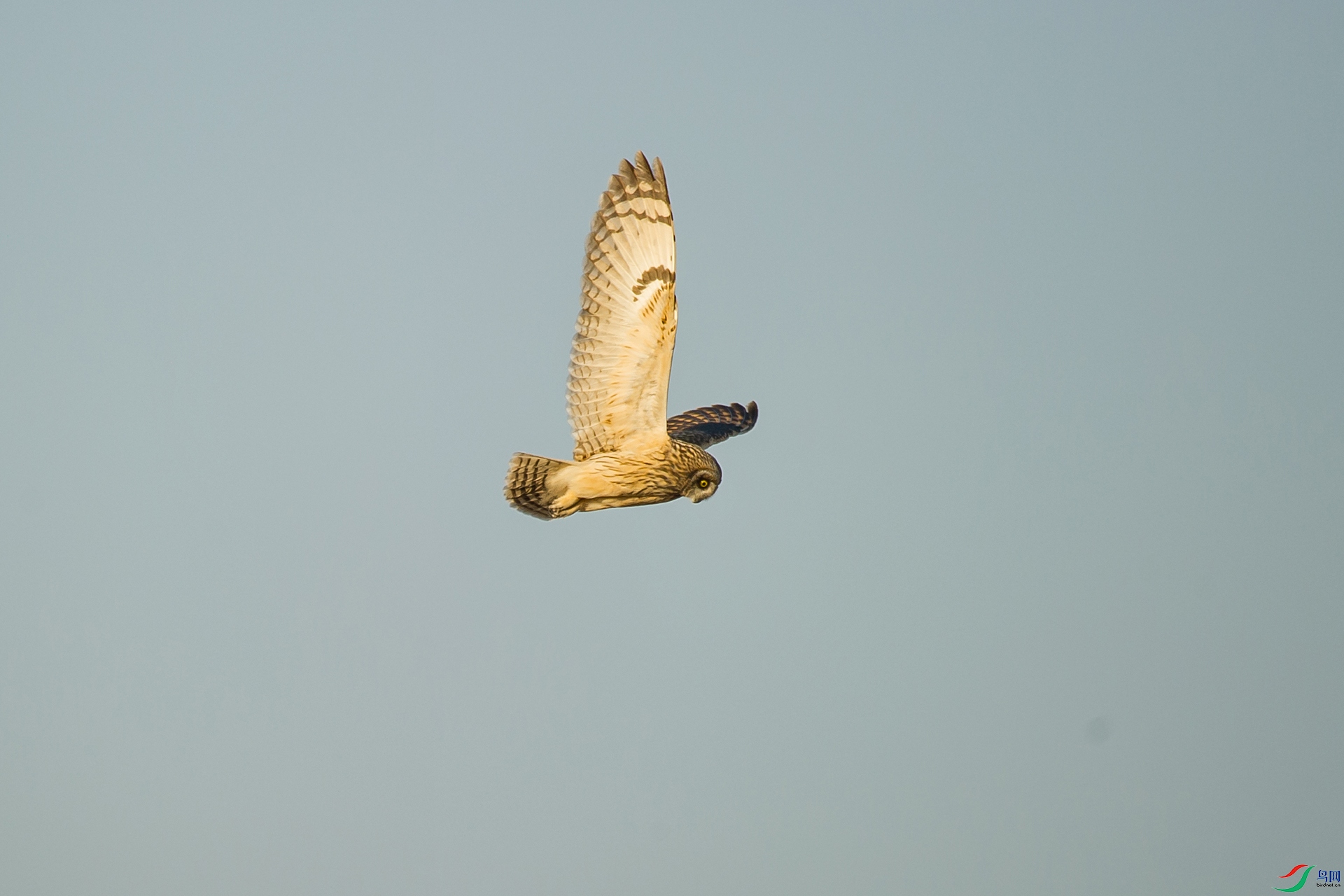 DSC_1432-20201228-�ü�.jpg