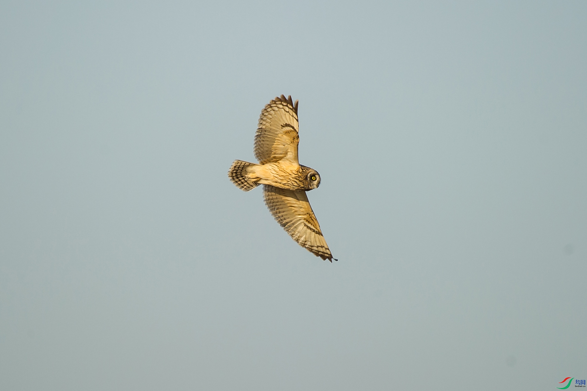 DSC_1433-20201228�ü�.jpg
