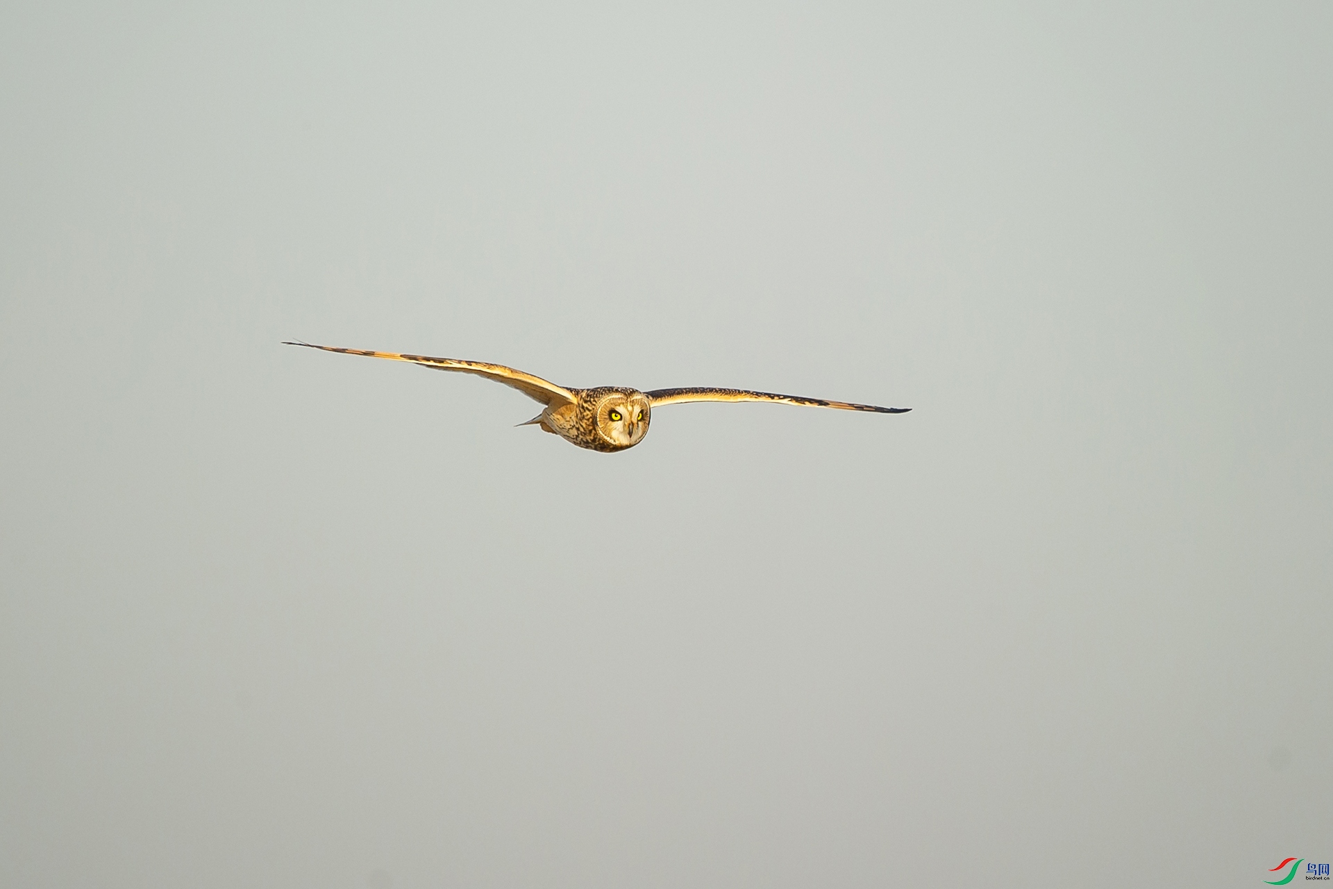DSC_1446-20201228�ü�.jpg