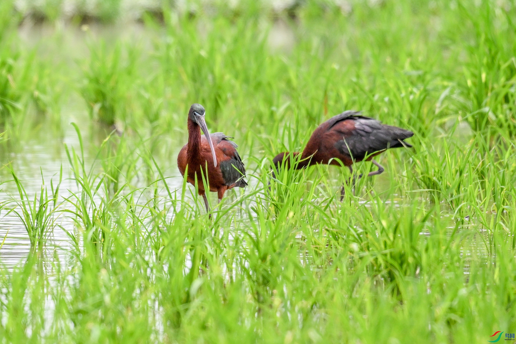 DSC_7838.JPG