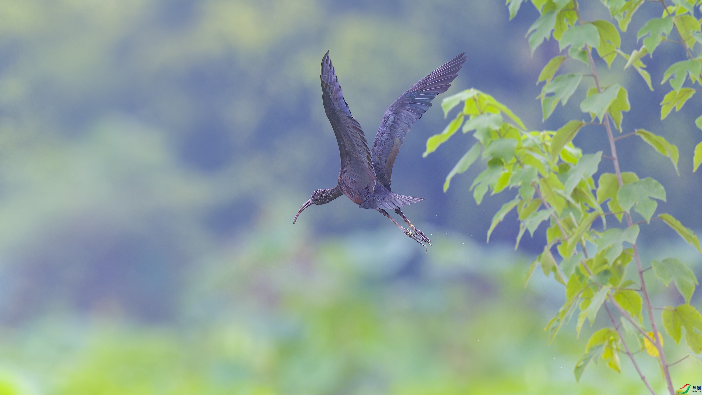 DSC_5808_DxO.jpg