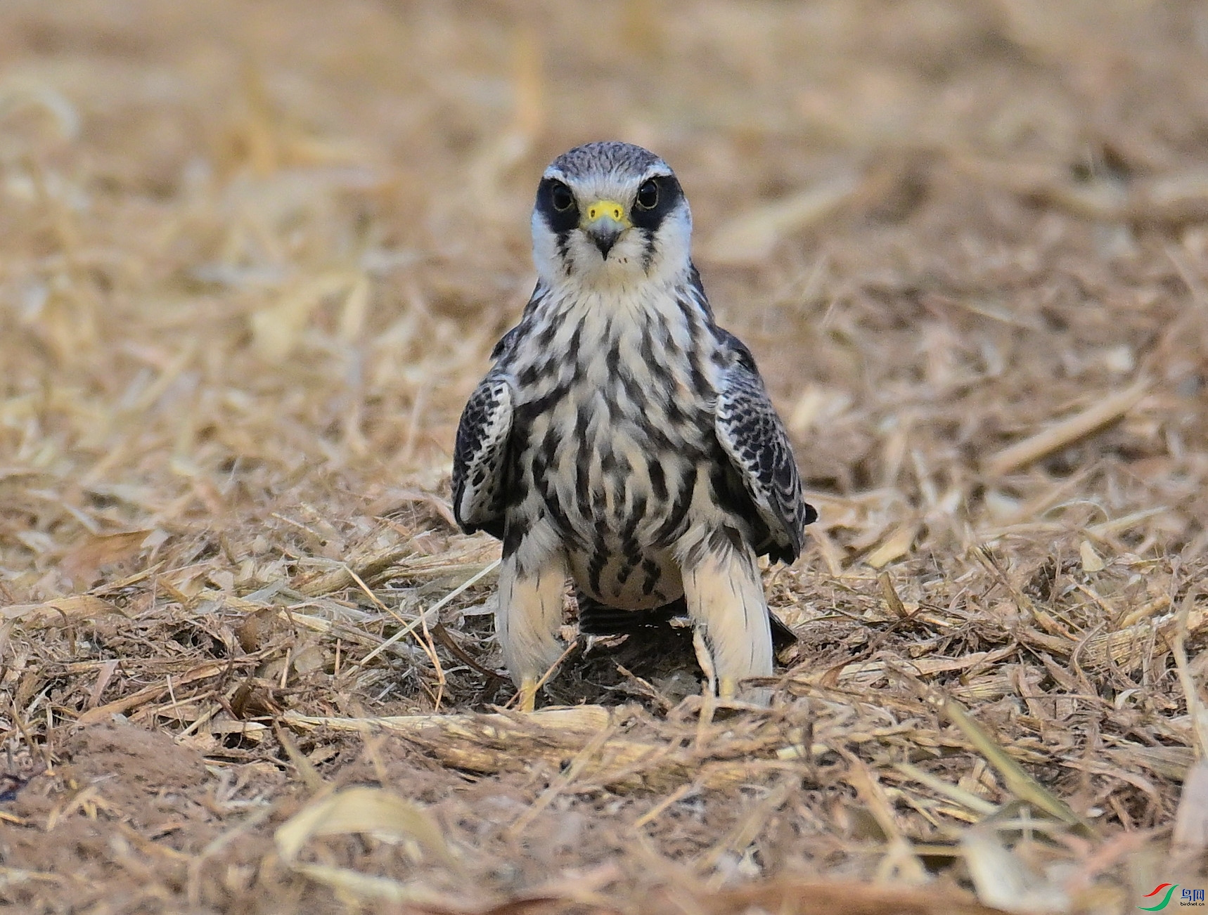 DSC_1356.JPG