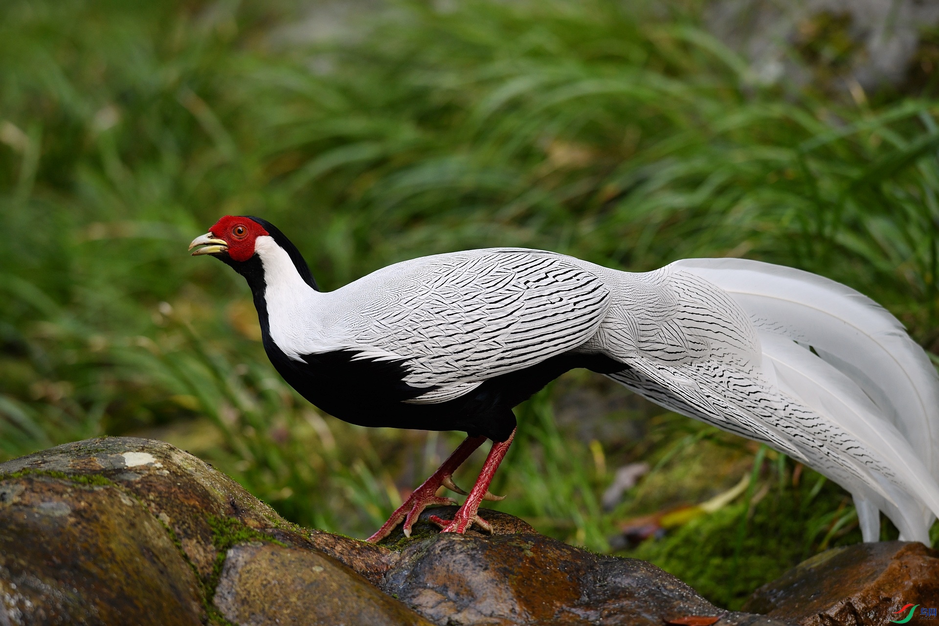 DSC_1925.jpg