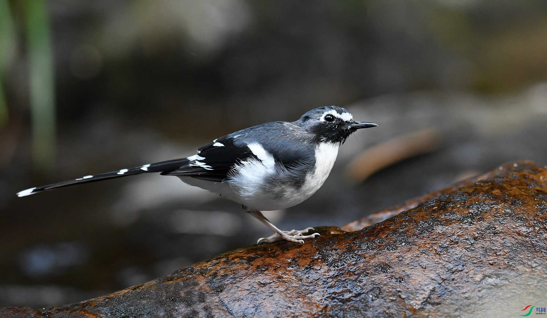 DSC_2048.jpg