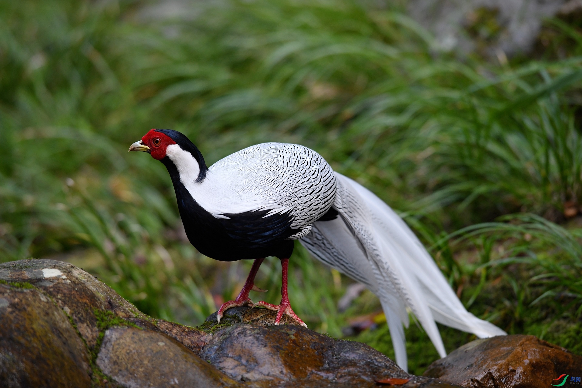DSC_1943.jpg