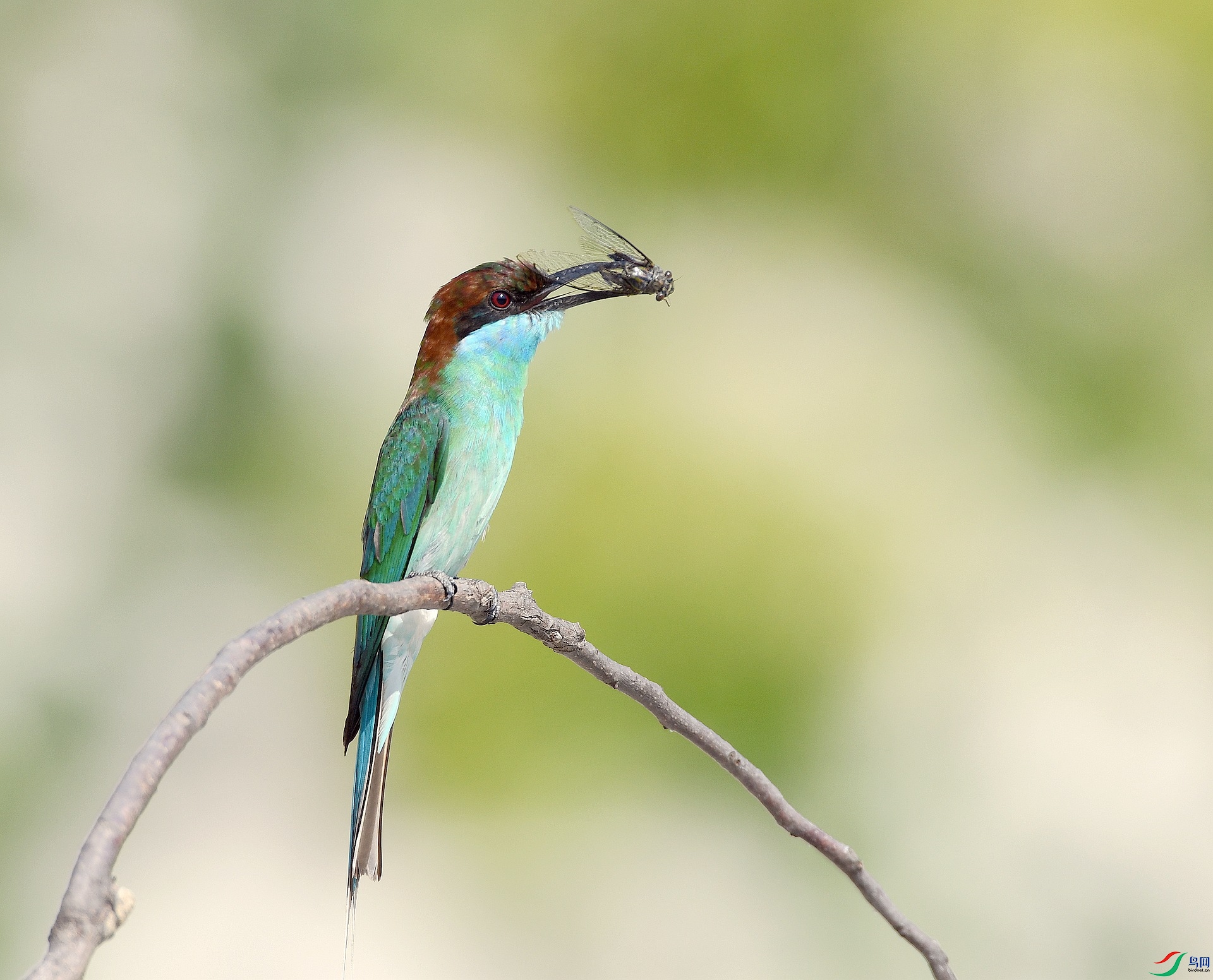 DSC_3276.jpg