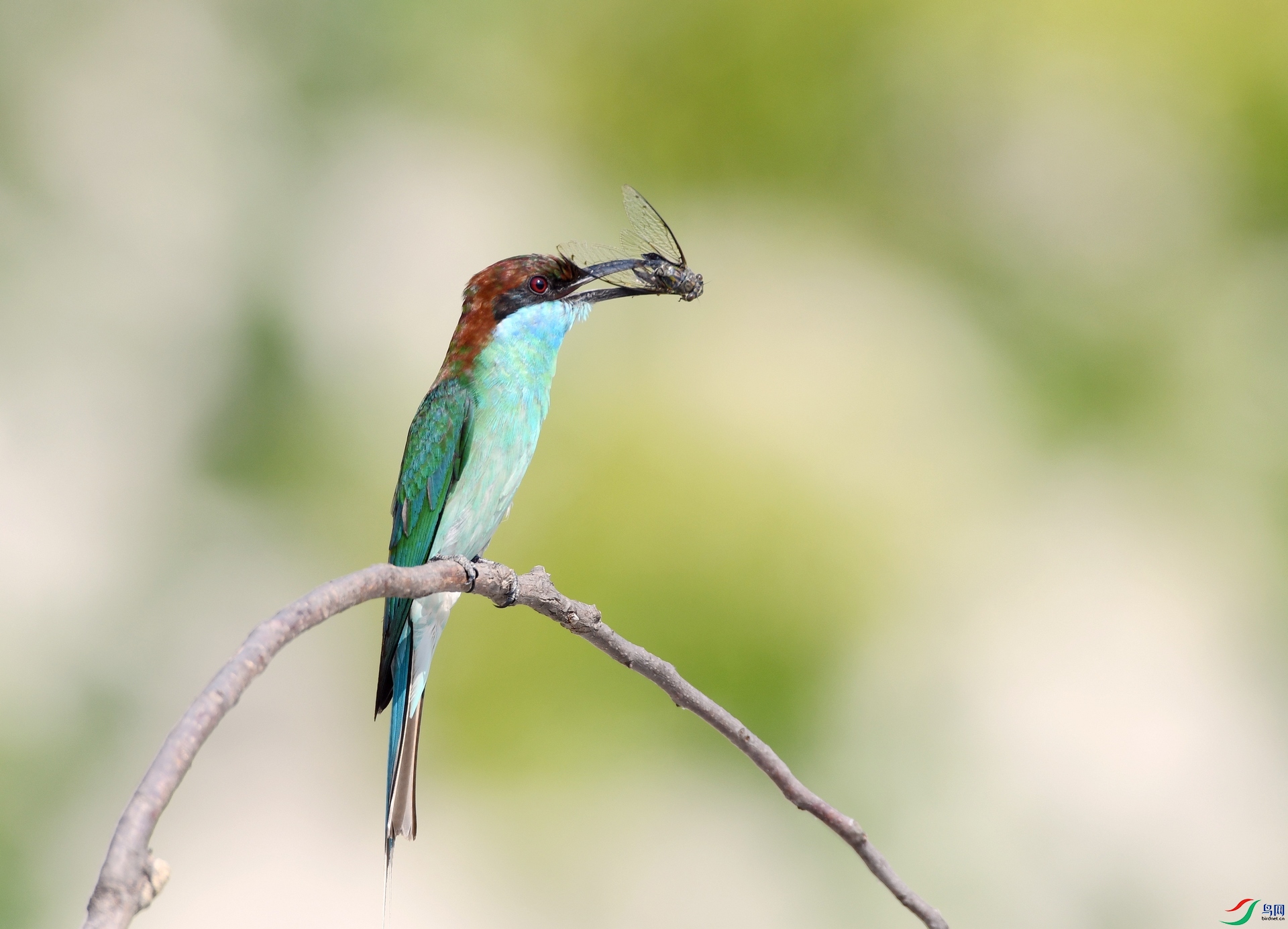 DSC_3291.jpg