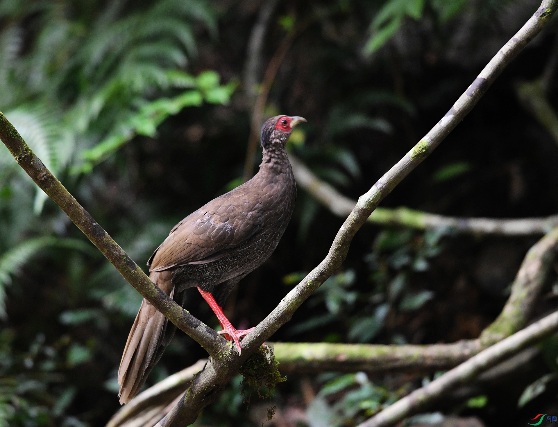 DSC_7501.jpg