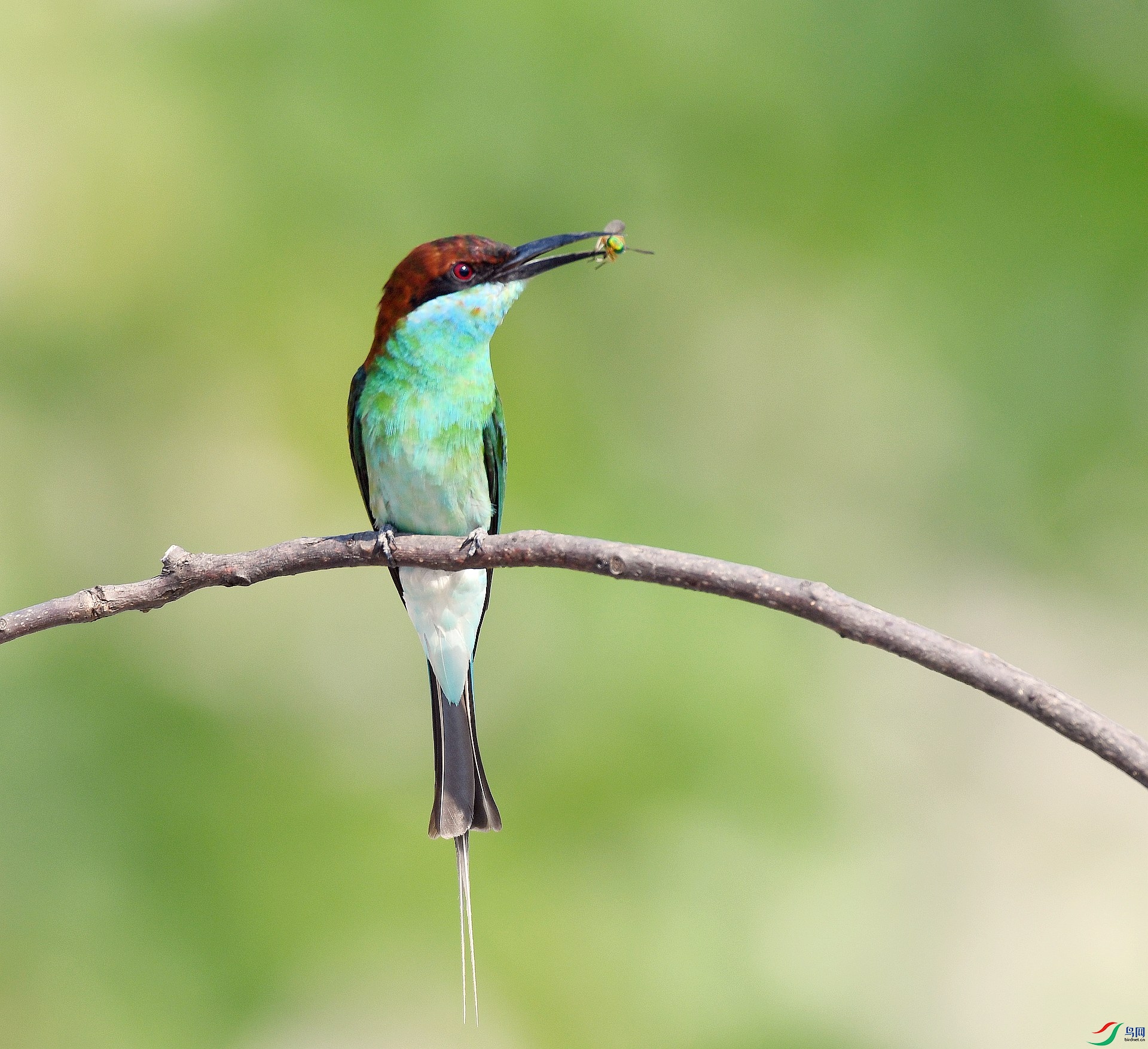 DSC_3443.jpg