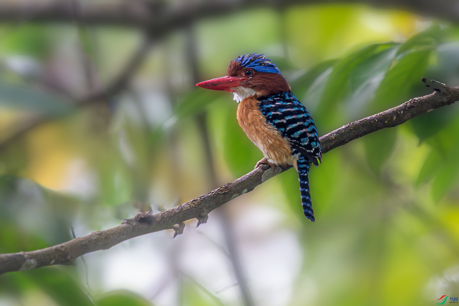 _DSC6615-11.jpg