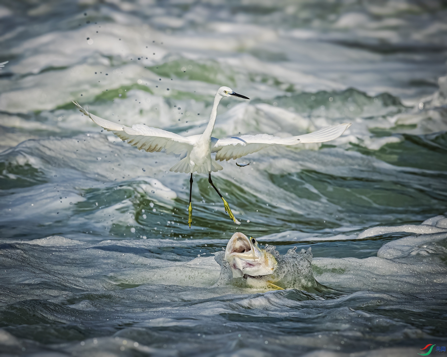 ���ӿڸ�