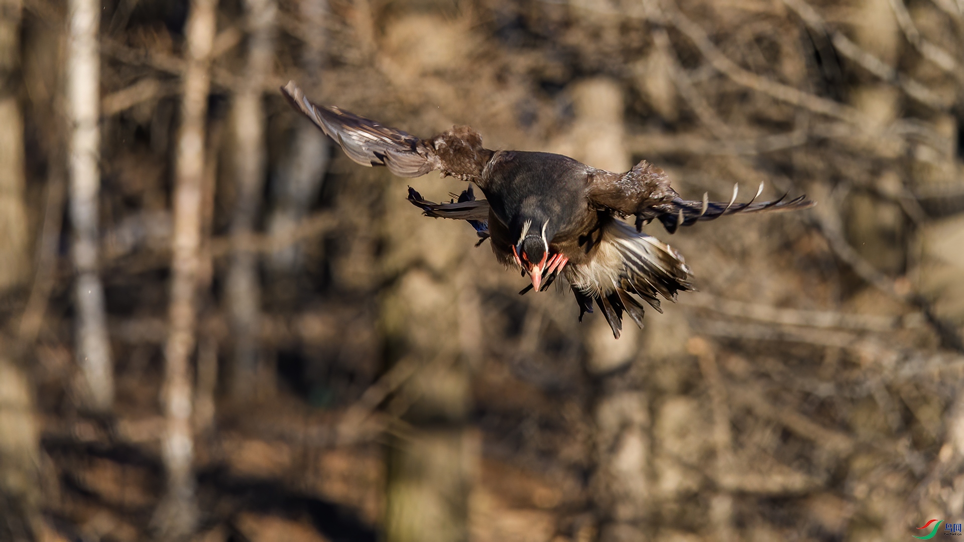 DSC_2208-20250724��.jpg