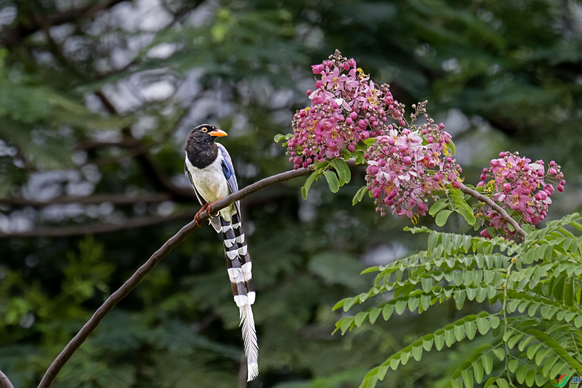 DSC_8353.jpg